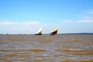 f-gambella Lake Victoria-2010-new 025