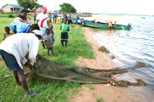 f-gambella Lake Victoria-2010-new 047