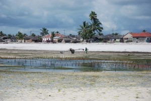 f-gambella zanzibar--2011102