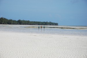 f-gambella zanzibar--2011104