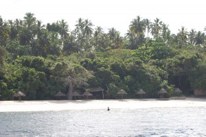 f-gambella zanzibar--2011331